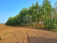 Hajdúnánás Mezőgazdasági terület