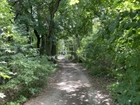 Budakeszi Nyaraló