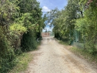 Budakeszi Nyaraló