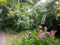 Gödöllő Családi ház