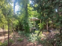 Kiskunlacháza Családi ház