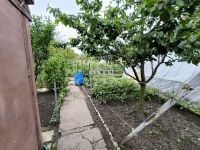 Dunakeszi Családi ház