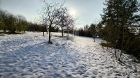 Pócsmegyer Telek