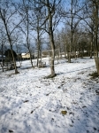 Pócsmegyer Telek