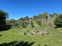 Balatonfüred Nyaraló