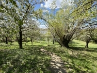 Biatorbágy Családi ház