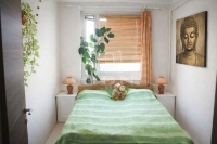 Budapest XIV. kerület Lakás (panel)