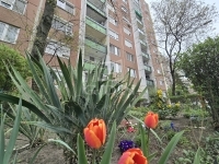 Budapest IV. kerület Lakás (panel)