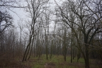 Döröske Mezőgazdasági terület