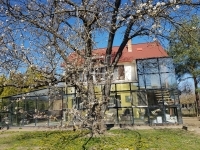 Tahitótfalu Családi ház