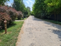 Isaszeg Telek