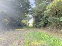 Zalatárnok Családi ház