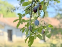 Zalatárnok Családi ház