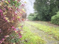 Gellénháza Családi ház