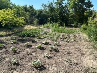 Baracska Családi ház