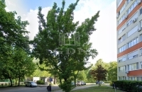 Budapest XIV. kerület Lakás (panel)