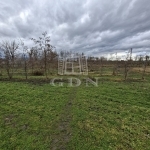 Nagyigmánd Mezőgazdasági terület