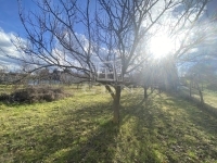 Sárszentmihály Telek