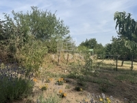 Pákozd Családi ház