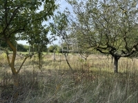 Pátka Családi ház