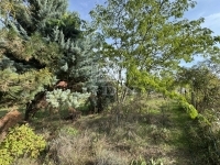 Pátka Családi ház