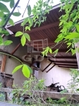 Balatonakarattya Családi ház