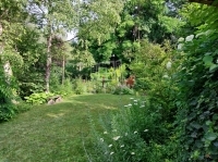 Budaörs Családi ház