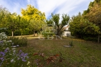 Budapest XVI. kerület Üzlethelyiség