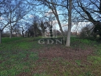 Gödöllő Családi ház