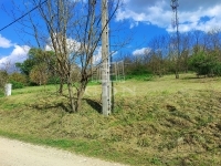 Domony Családi ház