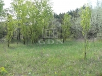 Kecskemét Mezőgazdasági terület