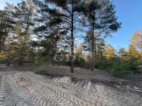 Kecskemét Családi ház