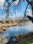 Szigetcsép Telek