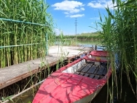 Szigetcsép Családi ház