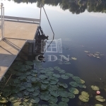 Szigetbecse Nyaraló