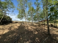 Galgagyörk Családi ház