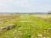 Söjtör Családi ház