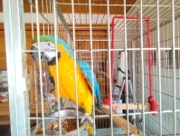 Mátyásdomb Családi ház