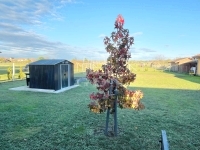 Magyarszerdahely Családi ház